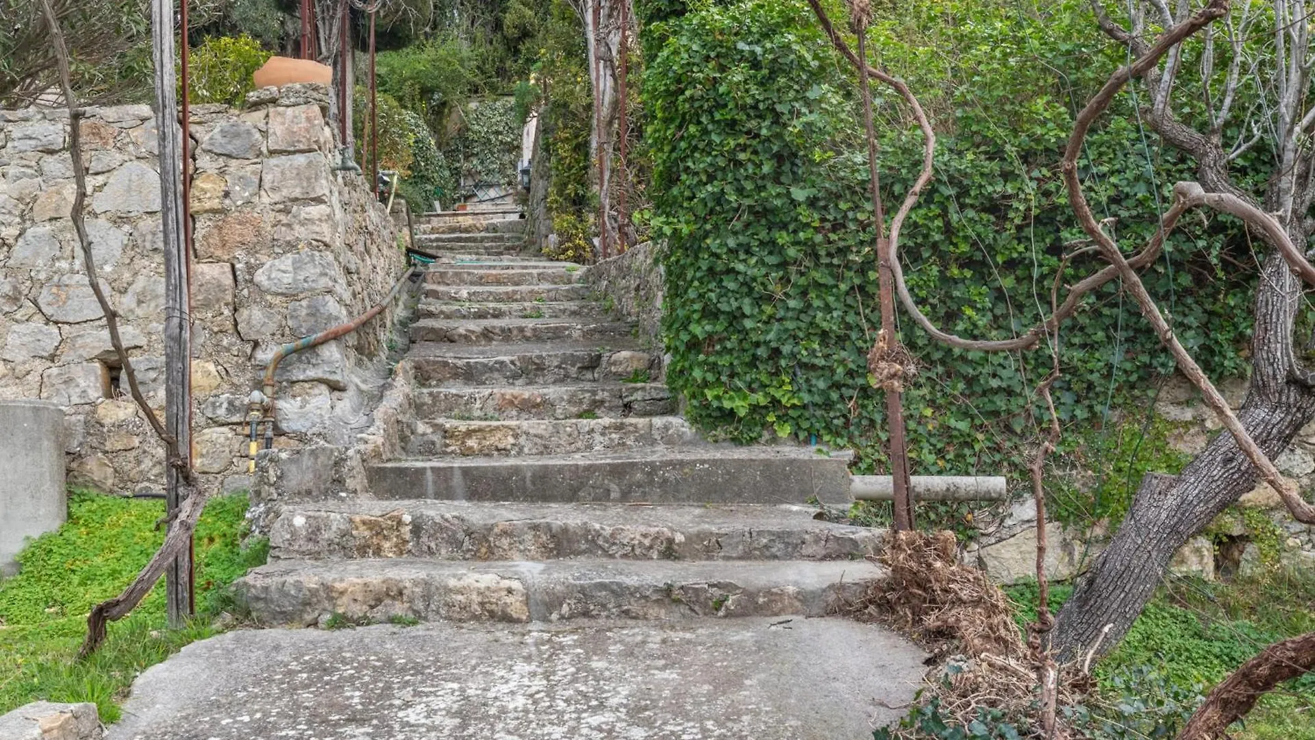 Villa La Mauvaise Herbe - Welkeys Mougins